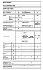 Réfrigérateur congélateur en bas Hisense HCN300BFC1 Noir